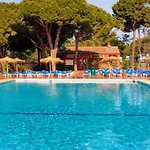 Camping Au Coeur De - Compact Et Pratique - Api-1-52-1836