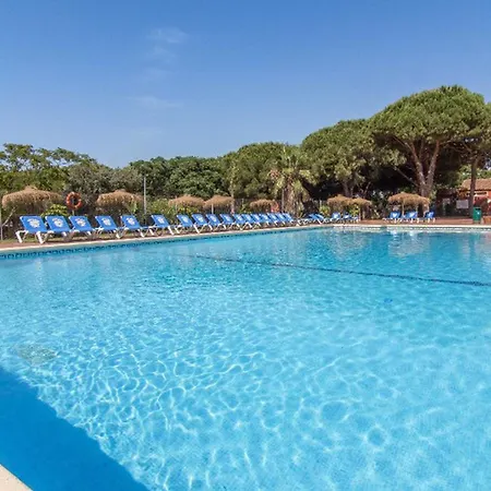 Camping Au Coeur De - Compact Et Pratique - Api-1-52-1836 *